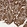 Anti-EIF2B3 Antibody