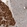 Anti-ARMC7 Antibody