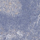 Immunohistochemical staining of human lymph node shows low expression as expected.