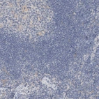 Immunohistochemical staining of human lymph node shows low expression as expected.