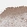 Anti-SNX31 Antibody