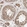 Anti-SNX31 Antibody