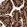 Anti-RHPN1 Antibody