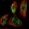 Anti-PRDM4 Antibody