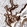 Anti-KIAA1456 Antibody