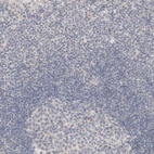 Immunohistochemical staining of human lymph node shows low expression as expected.