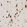 Anti-ZC2HC1A Antibody