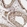 Anti-KLHL20 Antibody