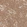 Anti-FBXO42 Antibody