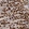 Anti-EDEM3 Antibody