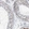 Anti-UTP6 Antibody