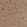Anti-RAB3GAP2 Antibody