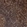 Anti-PRKCH Antibody