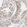 Anti-RPA2 Antibody