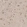 Anti-PSMB2 Antibody