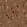 Anti-AKT3 Antibody