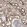 Anti-DARS2 Antibody