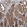 Anti-PRKCI Antibody
