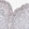 Anti-API5 Antibody