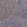 Anti-DDX6 Antibody