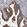 Anti-APRT Antibody