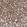 Anti-MDH2 Antibody