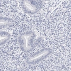Immunohistochemical staining of human endometrium shows low expression as expected.