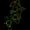 Anti-CD86 Antibody