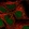 Anti-ZNF266 Antibody