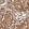 Anti-CCPG1 Antibody