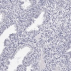 Immunohistochemical staining of human endometrium shows low expression as expected.