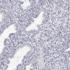 Immunohistochemical staining of human endometrium shows low expression as expected.