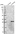Anti-C1orf109 Antibody