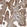 Anti-ADPRHL2 Antibody