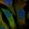 Anti-ERRFI1 Antibody