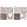 Anti-ZNF830 Antibody