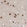 Anti-ZNF830 Antibody
