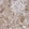 Anti-UBE3D Antibody
