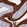 Anti-ECM1 Antibody