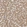 Anti-GNE Antibody
