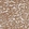 Anti-CERS2 Antibody