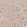 Anti-DCAF8 Antibody
