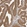 Anti-DCAF8 Antibody