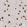 Anti-PPP1R8 Antibody