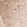 Anti-VPS45 Antibody