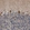 Anti-EXOC8 Antibody