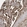Anti-EXOC8 Antibody