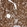 Anti-C8orf48 Antibody