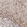 Anti-FAS Antibody