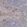 Anti-FAS Antibody